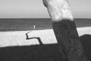 Spyros Polytarchou | ap13