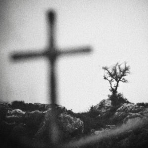 Spyros Polytarchou | ap3