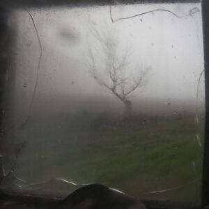 Spyros Polytarchou | ap4