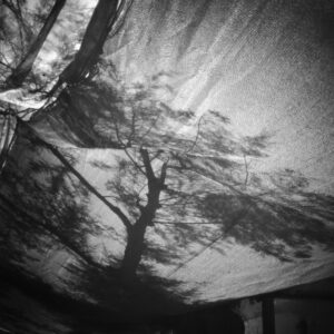 Spyros Polytarchou | ap65