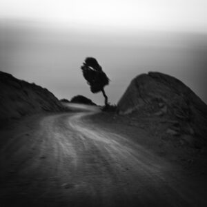 Spyros Polytarchou | ap70