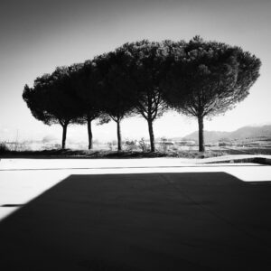 Spyros Polytarchou | ap77