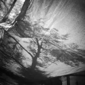 Spyros Polytarchou | Polytarchou Spyros Seira Vivliou 001