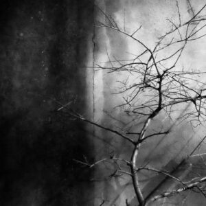 Spyros Polytarchou | Polytarchou Spyros Seira Vivliou 002