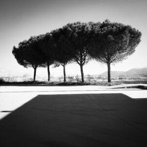 Spyros Polytarchou | Polytarchou Spyros Seira Vivliou 008