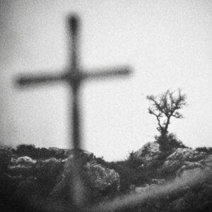 Spyros Polytarchou | Polytarchou Spyros Seira Vivliou 010