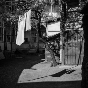 Spyros Polytarchou | Polytarchou Spyros Seira Vivliou 039