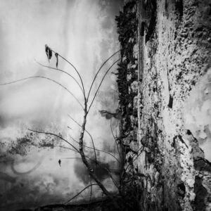 Spyros Polytarchou | Polytarchou Spyros Seira Vivliou 062