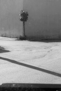 Spyros Polytarchou | Polytarchou Spyros Seira Vivliou 095