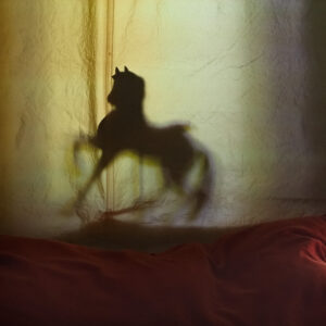 Spyros Polytarchou | Polytarchou Spyros Seira Vivliou 110